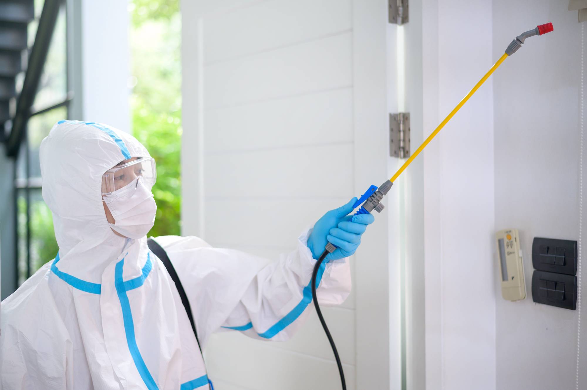 Pest Control