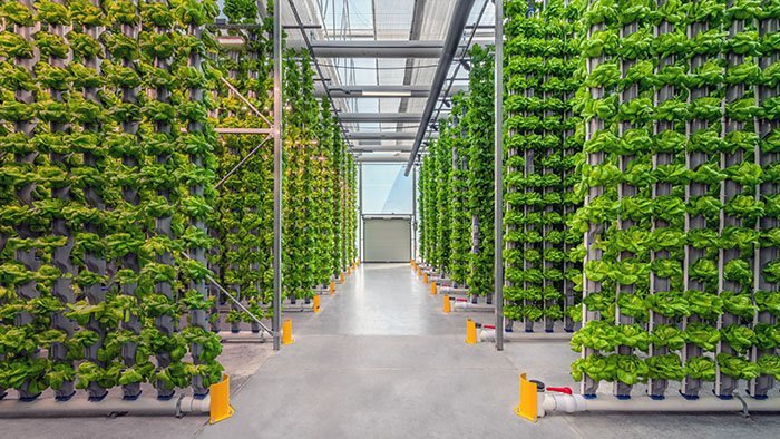 Agribusiness