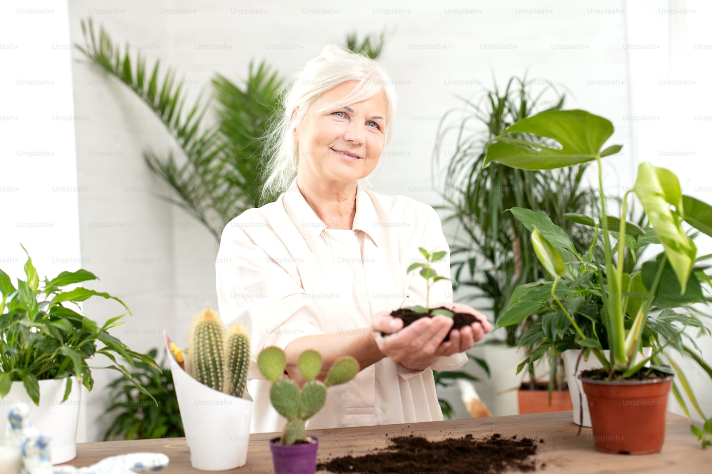 Plant and Equipment Insurance