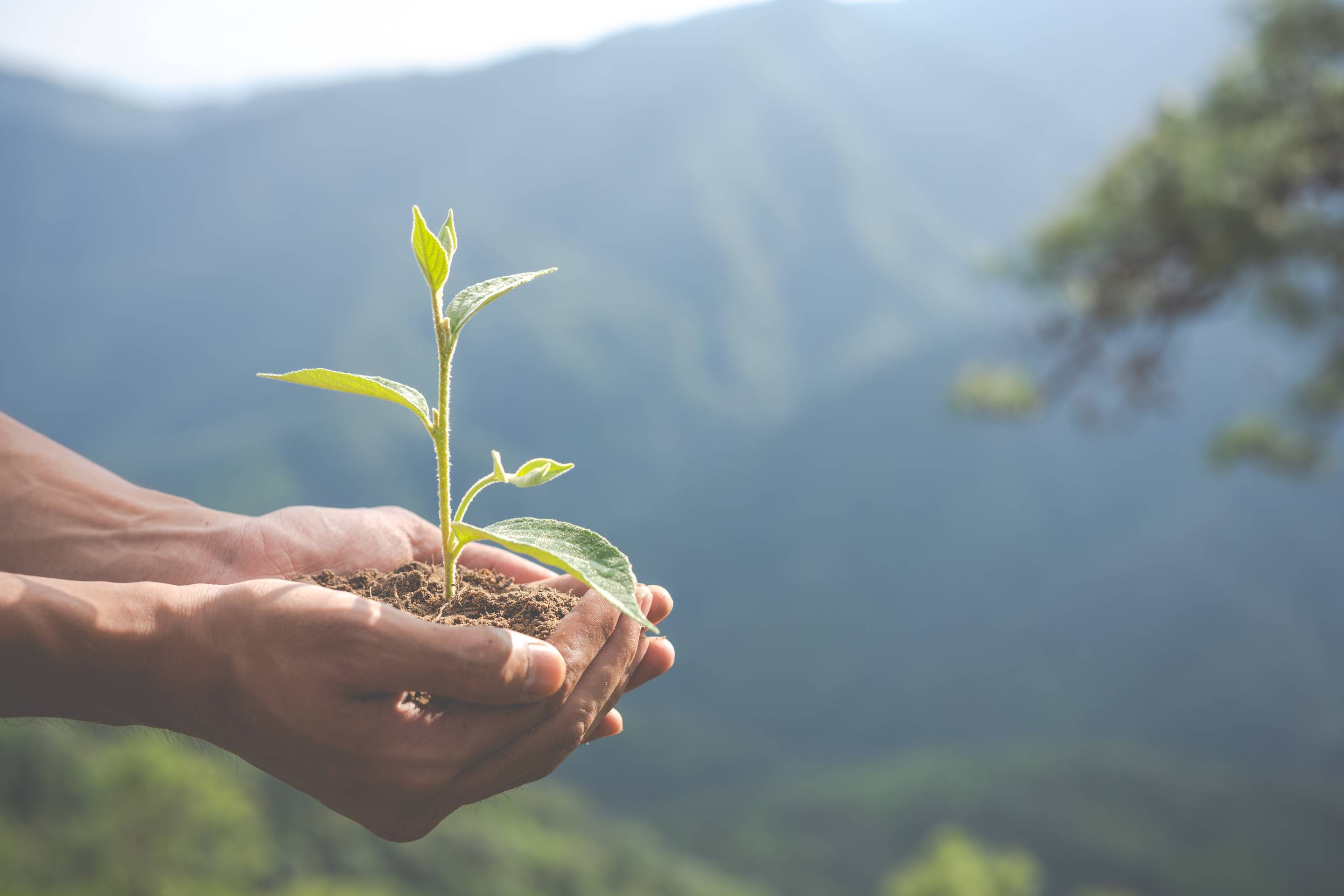 Environmental Risk Insurance